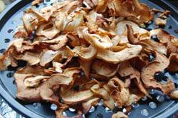 drying apples at home - cooked apple rings