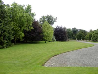 grand lawn