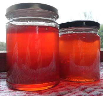 crabapple jelly