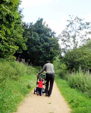 pushing the buggy