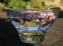 homemade flower essence