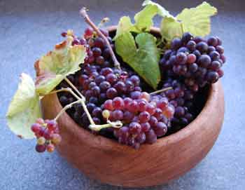 home grown grapes in a bowl