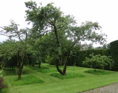 Levens Hall orchard