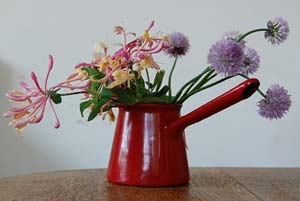 chive flowers with honeysuckle