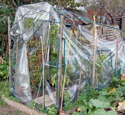 flexible plastic greenhouse after wind