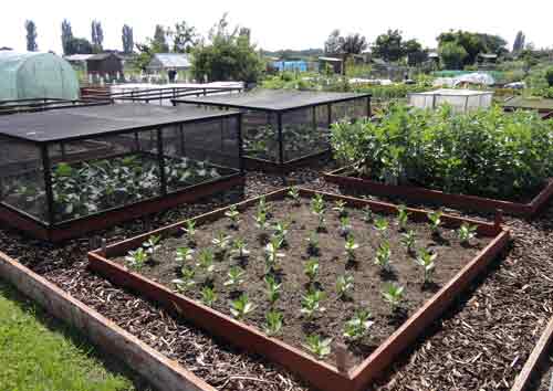 well made raised beds