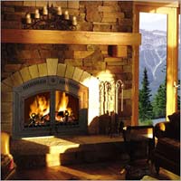 wood burning stove