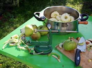 an apple corer, slicer and peeler