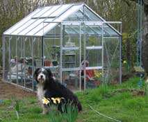 Rion greenhouse in my garden 