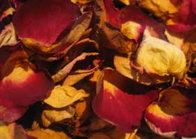 dried rose petals