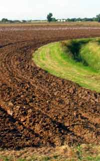 ploughed farmland