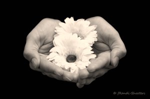 flowers cupped in hands