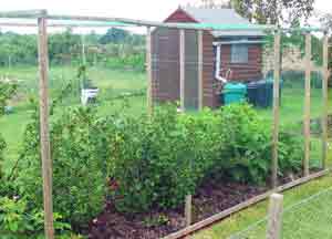 Good Garden Netting Choices for Green Gardening