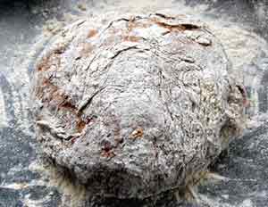 rye flour dough ready for kneading
