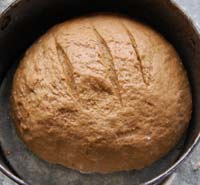 rye bread in the tin