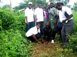 Trees for the Future tree planting session